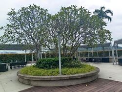 Hillion Residences (D23), Apartment #609201461